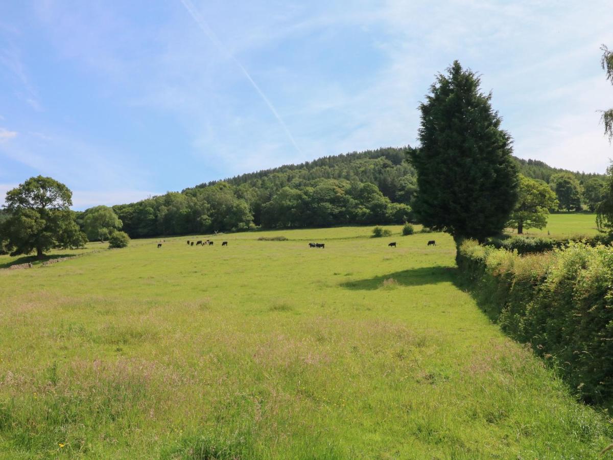 Lees Moor Cottage มัทล็อก ภายนอก รูปภาพ